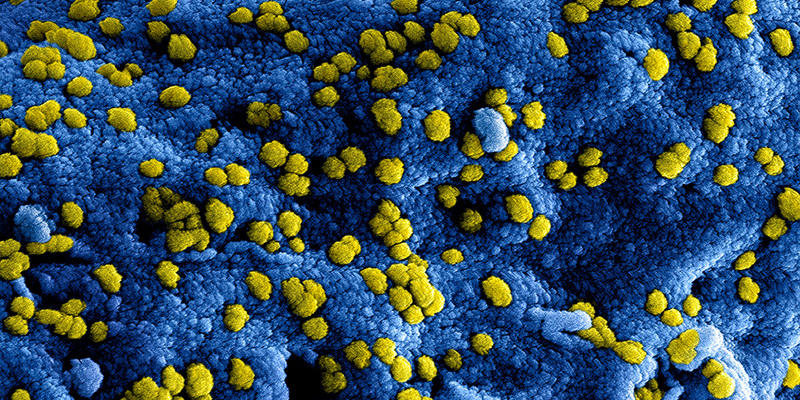 Coronavirus en sport oud