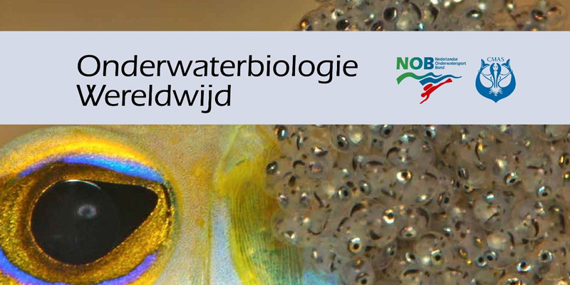 Sportwereld tegen corona: Onlinecursus 'Onderwaterbiologie' in één dag volgeboekt